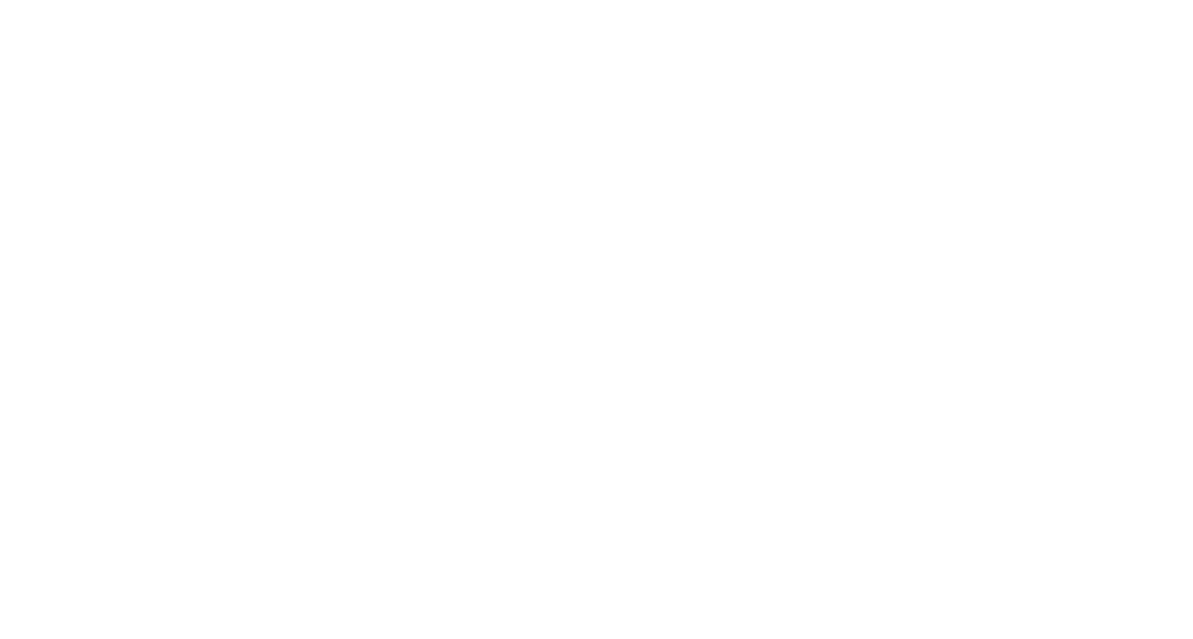 Elseidy Documents Clearing Services